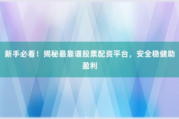 新手必看！揭秘最靠谱股票配资平台，安全稳健助盈利