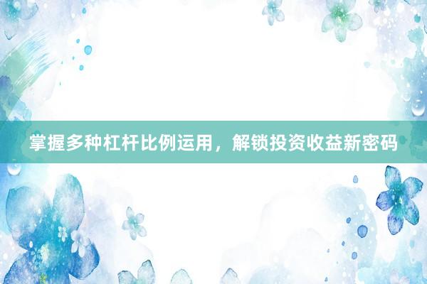 掌握多种杠杆比例运用，解锁投资收益新密码