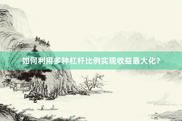 如何利用多种杠杆比例实现收益最大化？