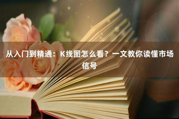 从入门到精通：K线图怎么看？一文教你读懂市场信号