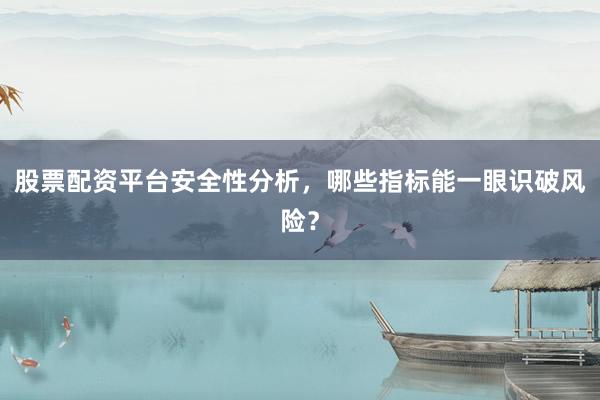 股票配资平台安全性分析，哪些指标能一眼识破风险？
