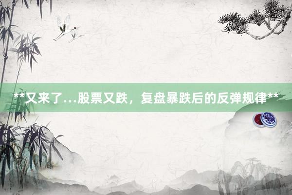 **又来了…股票又跌，复盘暴跌后的反弹规律**
