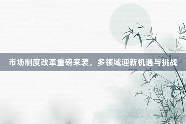 市场制度改革重磅来袭，多领域迎新机遇与挑战