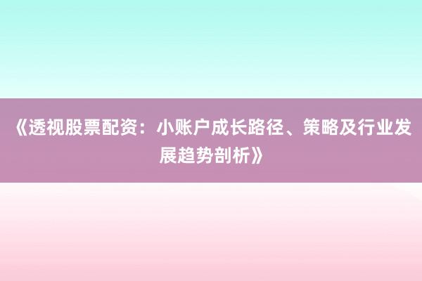 《透视股票配资：小账户成长路径、策略及行业发展趋势剖析》