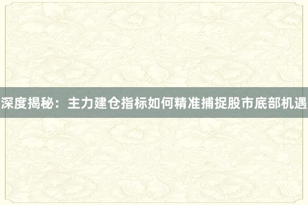 深度揭秘：主力建仓指标如何精准捕捉股市底部机遇
