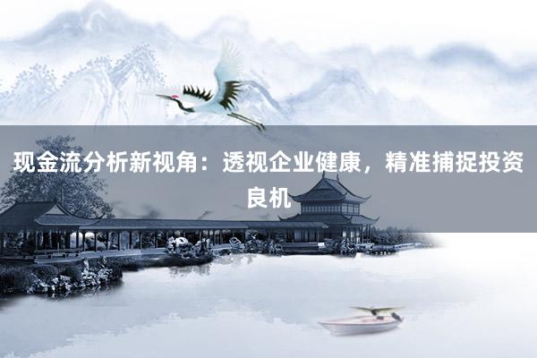 现金流分析新视角：透视企业健康，精准捕捉投资良机