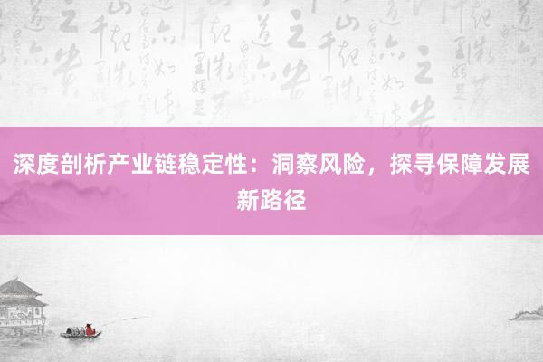 深度剖析产业链稳定性：洞察风险，探寻保障发展新路径