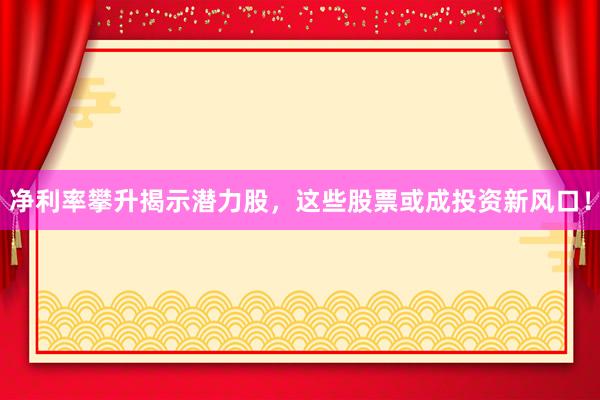 净利率攀升揭示潜力股，这些股票或成投资新风口！