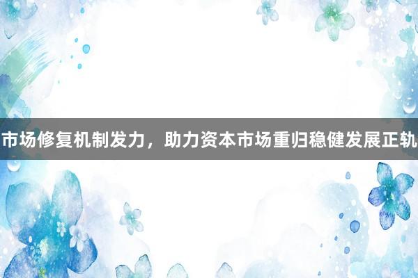 市场修复机制发力，助力资本市场重归稳健发展正轨
