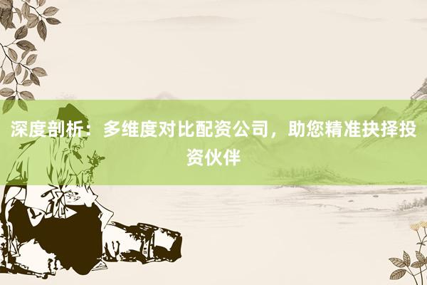 深度剖析：多维度对比配资公司，助您精准抉择投资伙伴